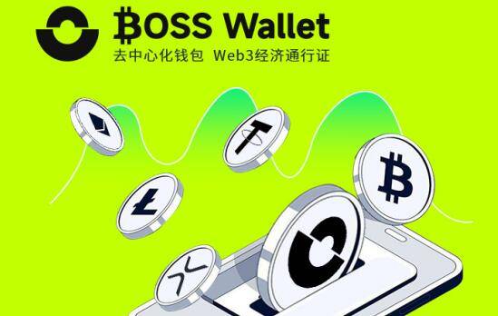 稳定币市监管环境与未来展望BOSS Wallet带您探索USDT钱包