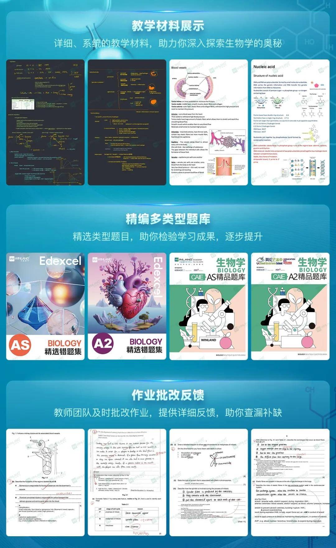 2024印度卷IG/AL春季大考A*数据出炉！IG+ALevel经济考生：危...！