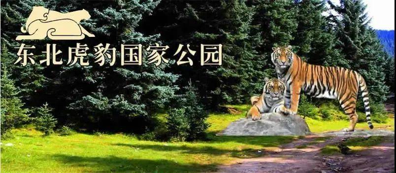 虎豹币明天兑换，价格涨不停，龙钞、京剧币持续上涨！