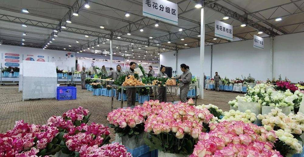 时政微观察丨徙木立信，久久为功