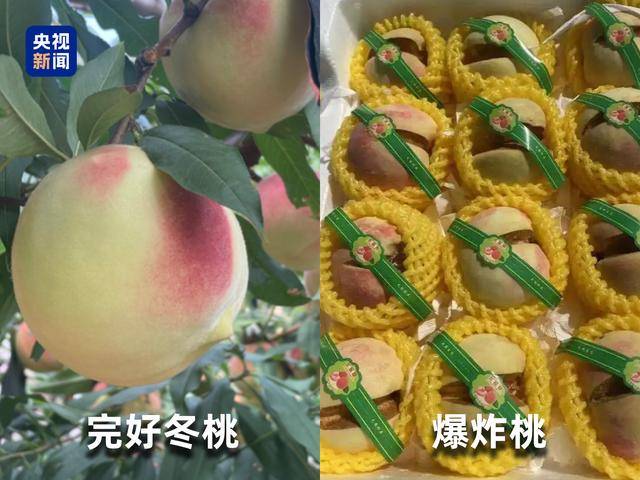 起底“水果骗局”：藏乌梨、爆炸桃、嘉宝果都是假的！
