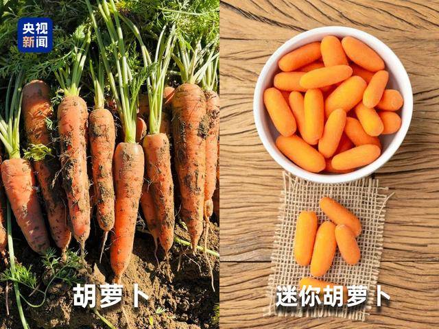 起底“水果骗局”：藏乌梨、爆炸桃、嘉宝果都是假的！