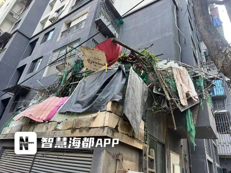“这是我的宠物！”福州一独居老人在小区搭鸡窝养鸡，引发争议！